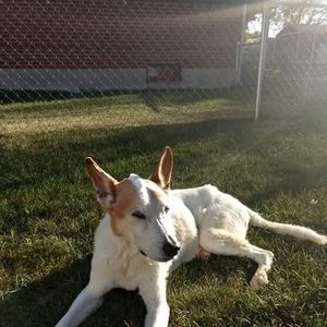 Meet your Posher, Eva